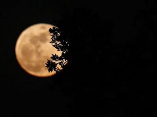 Photos: When Dubai, Sharjah and UAE residents were awestruck by super blood moon
