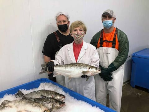 AquaBounty Technologies Inc. CEO Sylvia Wulf, poses for a photo with processing associates Skyler Miller, back left, and Jacob Clawson with genetically modified salmon from the company's indoor aquaculture farm, in Albany. These are the first such altered animal to be cleared for human consumption in the United States. 