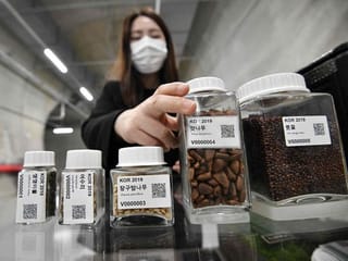 Last resort: the seeds kept safe in a South Korean mountain
