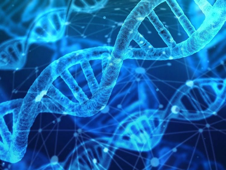 DNA