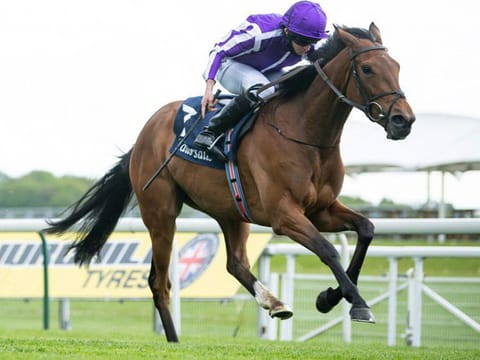 It was almost a walk in the park for Snowfall, Frankie Dettori up, at the Epsom Oaks on Friday. 