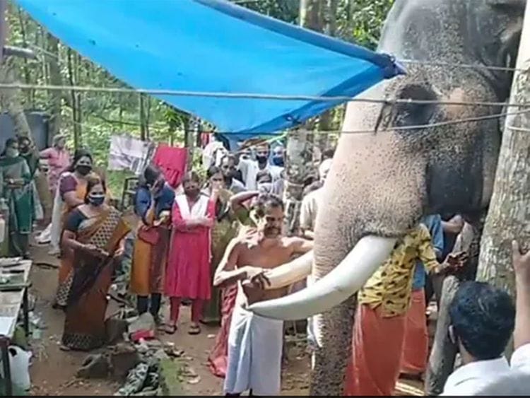 Elephant pays tribute to its mahout at his funeral in Kerala. 