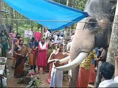 Screengrab from video posted on Twitter by Parveen Kaswan.