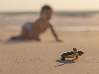 World Oceans Day 2021: Easy ways UAE mums, dads and kids can help today 