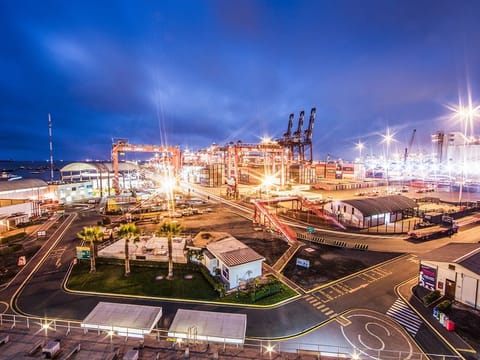 DP World's ports and terminals have been a buzz of activity in the first-half of 2021, with particularly strong gains coming from India. 