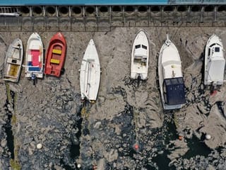 Photos: Turkey launches 'sea snot' clean-up to save Sea of Marmara