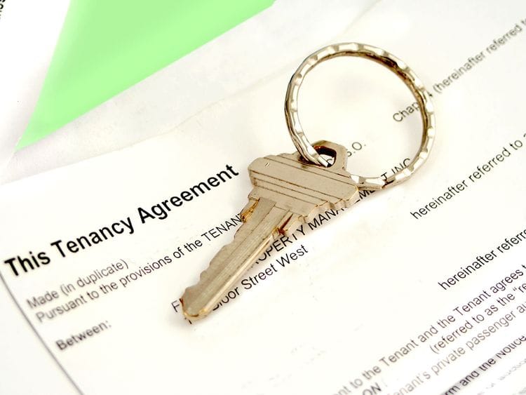 Stock Rental lease agreement contract