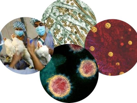 Dangerous pathogens sometimes escape the lab, with deadly results. Published data on the “escape” of deadly biological agents do exist. 