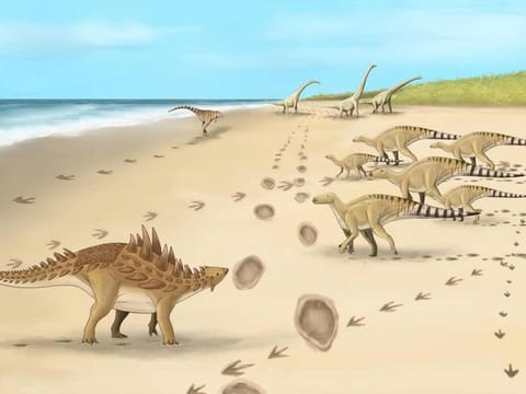 A palaeo artist's impression of the dinosaurs and their footprints. [Illustrative image]