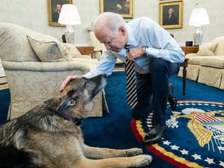 Photos: US Presidential pets through the years