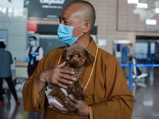 Photos: Chinese monk who saved 8,000 strays is dog's best friend