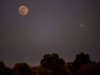 'Pink Moon' to rise in UAE. Here is when and where you can see it in Dubai