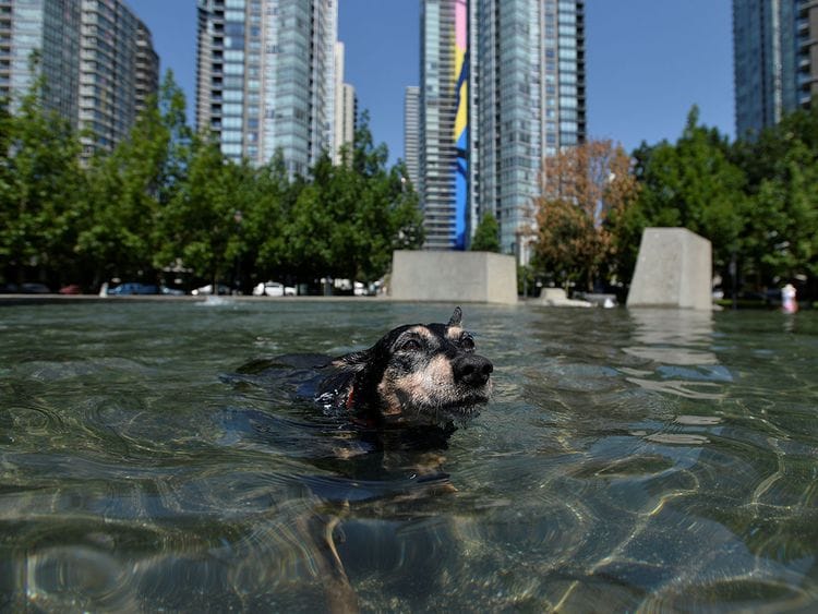 210630 Vancouver