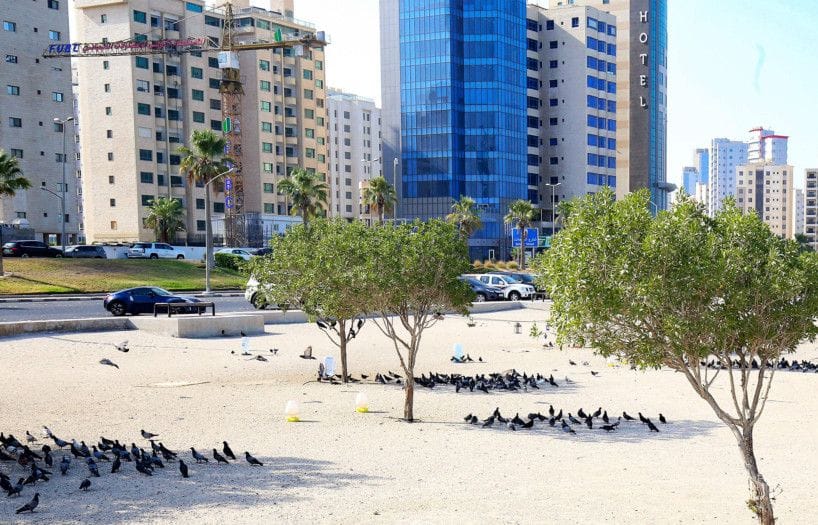 kuwait heat-1-1625400500178