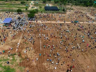 Record 1 million saplings planted in an hour in Indian town