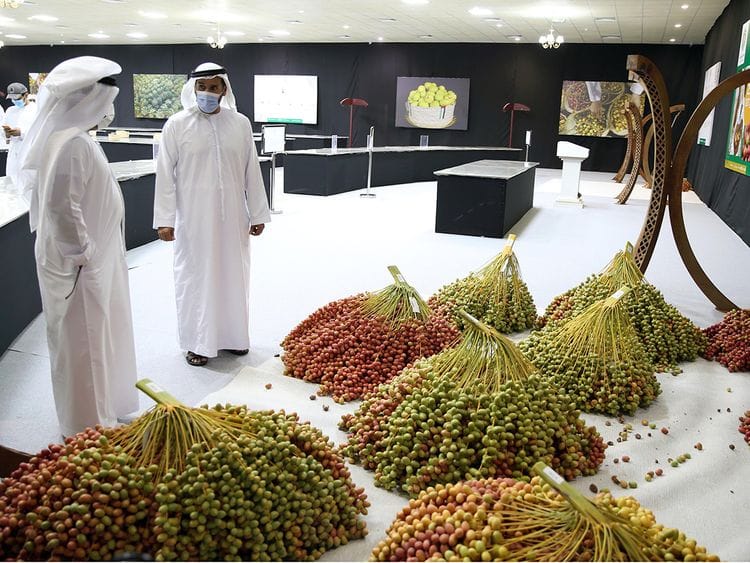 Liwa Date Festival