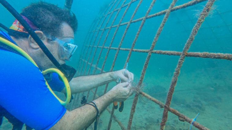 NAT 210712 Coral Reef Initiative-3-1626436062292