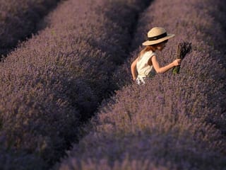 Photos: Moldova's lavender flourishes after post-Soviet decline