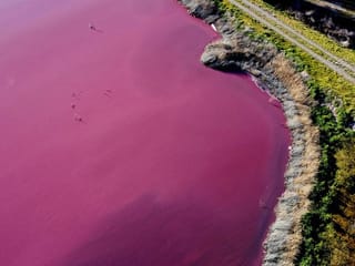 Photos: Pollution turns Argentina lake bright pink