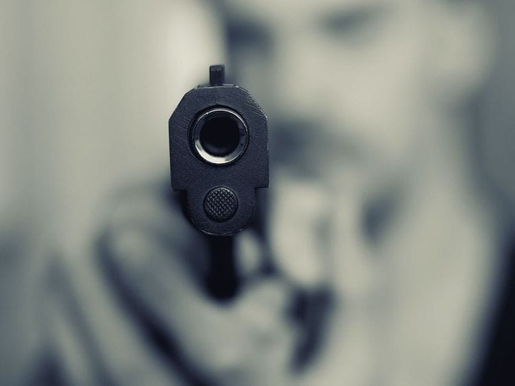 gun, pistol, rifle, shoot