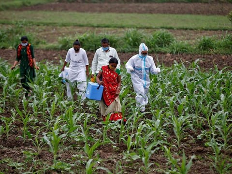 Healthcare workers carry a box containing COVISHIELD vaccine against coronavirus disease (COVID-19), manufactured by Serum Institute of India, as they walk through a field to vaccinate villagers during a door-to-door vaccination drive in Banaskantha district in the western state of Gujarat, India 
