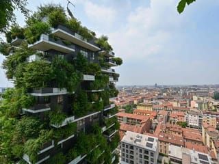 Going green: A tour of world cities putting down roots