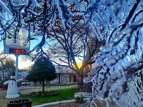 Ice covers trees at dawn during a cold snap in Sao Joaquim, Brazil. 