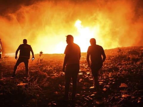 Firefighters and Local villagers try to get the fire under control in Kirli village near the town of Manavgat, in Antalya province, Turkey, early on July 30, 2021. 