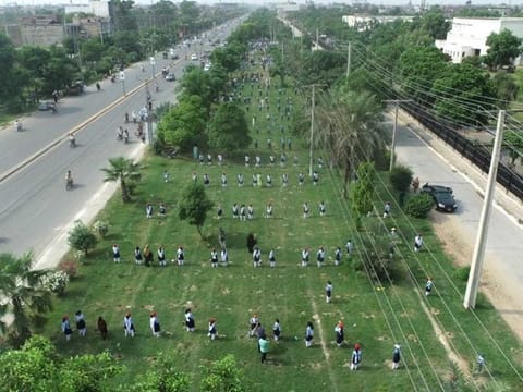 Pakistan sets world record by planting over 50,000 saplings in less than one minute. 