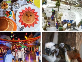 13 Family-friendly things to do this week