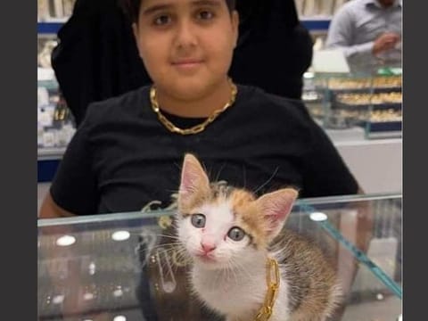 Photos of the cat wearing the necklace inside the jewellery store went viral on social media as soon as the shop shared them on its official page.