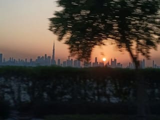 Photos: Gulf News readers share pictures of beautiful Shees Park, Kshisha Park, in Sharjah and Al Qudra Lake, Discovery Gardens in Dubai 