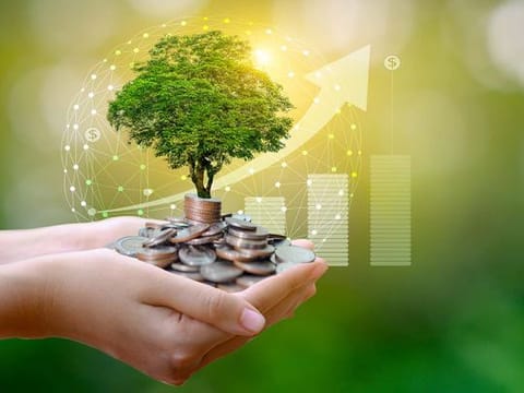 Get rich quick or take a slow-but-steadier path to wealth? Which works?