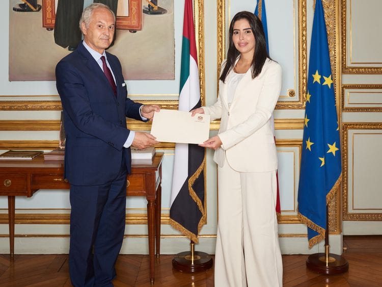 UAE envoy