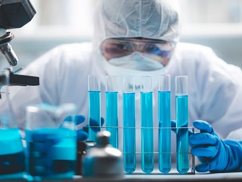 A lab. Photo for illustrative purposes only  