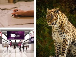 11 Fun things to do with the family this week