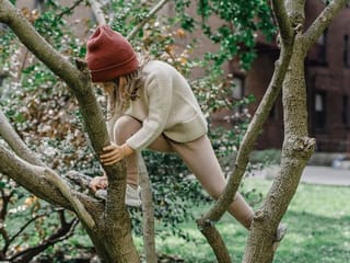 Today's Word Search: Children need a daily dose of trees for brain development