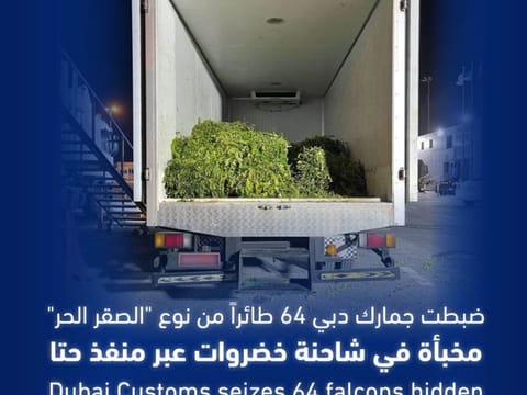 Dubai Customs