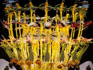 In pictures: Artist Mat Collishaw's 'Equinox' is a serene lotus flower at Expo 2020 Dubai