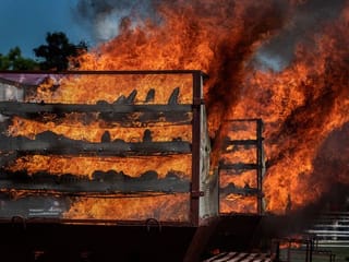 Photos: Rare rhino horns go up in flames in India anti-poaching campaign