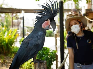 From the Editors: Dubai Safari Park is UAE's latest outdoor option 