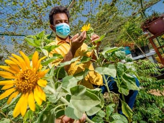 Watch: Indian expat ‘dreamer’ and his inspiring kitchen garden find pride of place at Expo 2020 UAE Pavilion