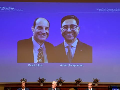 Members of the Nobel Committee sit in front of a screen displaying the winners of the 2021 Nobel Prize in Physiology or Medicine David Julius (left) and Ardem Patapoutian, during a press conference at the Karolinska Institute in Stockholm,  on October 4, 2021. 