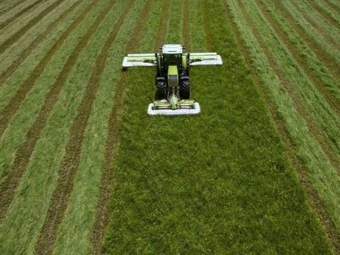 Fertiglobe profit spikes on urea price, margin gains with outlook "favourable"