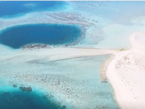 The Environment Agency Abu Dhabi said the rare marine phenomenon had been discovered recently during one of its surveys. Measuring 300 metres long and 200 metres wide, the Al Dhafra blue hole encompasses a total area of 45,000 square metres.