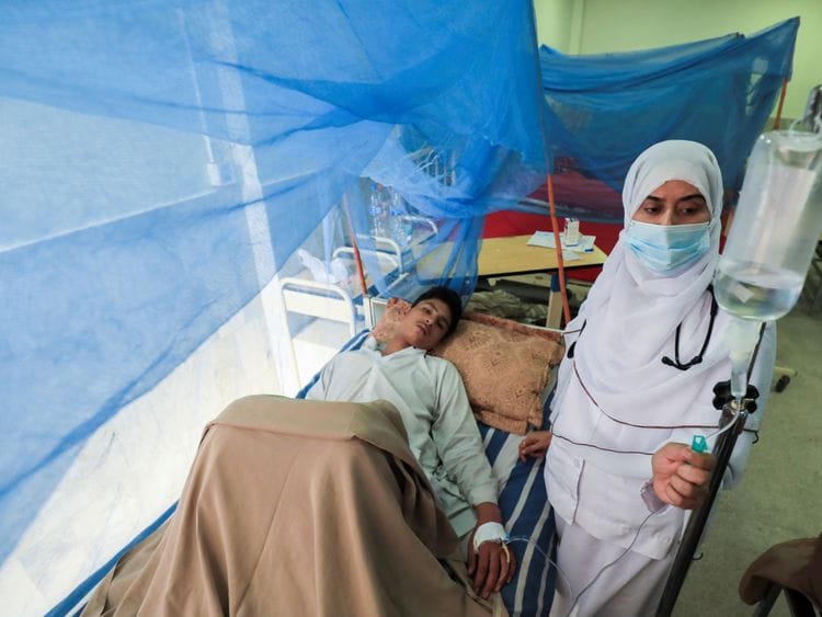 WPK pakistan dengue-1634132920464