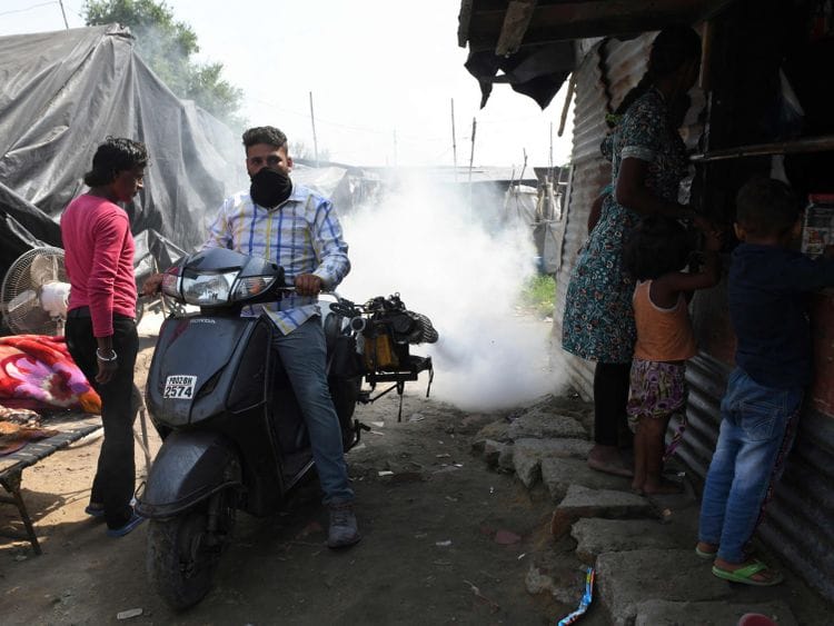 win dengue india-1634118432961