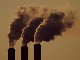 Pollution, biodiversity loss, climate change are silent killers: There's a solution 