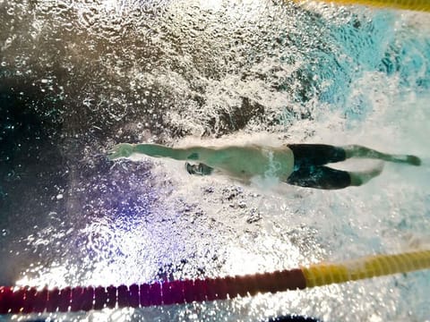 The Fina World Swimming Championships are coming to Abu Dhabi