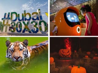 Expo 2020 visit, Halloween trips, taking on the Dubai Fitness Challenge - fun things to do with the kids this weekend